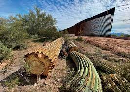 Save sonoran desert inn & conference center to your lists. The Border Wall Has Been Absolutely Devastating For People And Wildlife Audubon