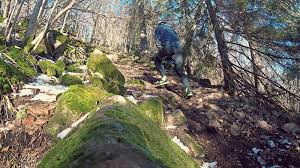 Filtrer søkeresultatet for å få et mer nøyaktig treff. Oblzodw7eg3gfm