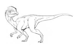 Jurassic world coloring pages suchomimus book pdf to print. Dilophosaurus Dinosaur Coloring Page Dinosaur Coloring Pages Dinosaur Coloring Dinosaur Coloring Page