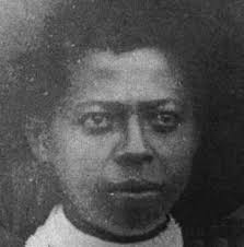 Image result for Mostuea brunonis