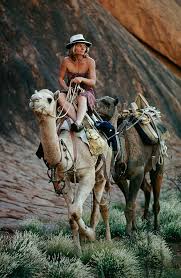 Camels are worth more than gold and it's only a matter of time before the rest of the country catches on to the outback game meat, according to but despite the huge population of this hardy humped mammal — initially brought to australia in the 1800s by afghan cameleers — there is a shortage of. 47 Robyn Davidson Ideas Robyn Davidson Davidson Camels
