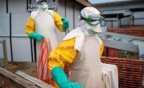 África en alerta por el virus de malburgo: Bfey Tqcxsi6m
