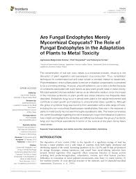 Legs are long enough to allow the the blackmouth cur should be evaluated as a working dog, and exaggerations or faults should be penalized in proportion to how much they interfere. Pdf Are Fungal Endophytes Merely Mycorrhizal Copycats The Role Of Fungal Endophytes In The Adaptation Of Plants To Metal Toxicity