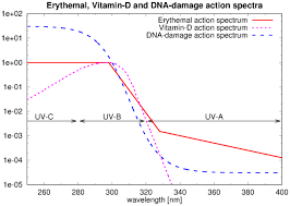 Temis Uv Index And Uv Dose Action Spectra