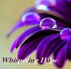 Image result for images whispering hope