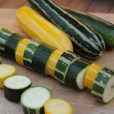 Stoke up the campfire this is chris's favorite vegetable side. Summer Grillers Mixed Summer Squash Seeds From Gurney S