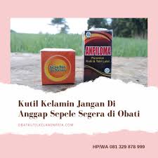 We did not find results for: Ubat Ketuat Kelamin Gambaran Ketuat Alat Kelamin