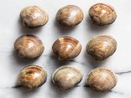 A Guide To Clam Types And What To Do With Them Serious Eats