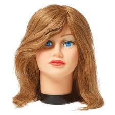 Cosmetology Mannequin Heads with Hair