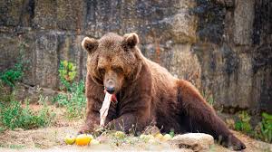 Videos porno de la Mama de Sebastian Moreno