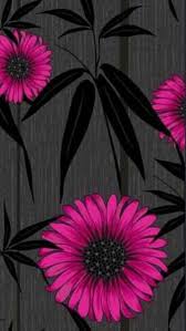 Dark pink wallpaper for iphone with images beauty iphone. Black Pink Mystique Black Wallpaper Iphone Black Wallpaper Flower Wallpaper