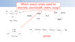 Cbc Lab Diagram Wiring Diagrams