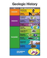Geology Coloring Pages For Kids Google Search Geologic Time Scale Earth Science Lessons Earth And Space Science