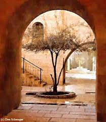 Old City Jerusalem Olive Tree Menorah Old City Jerusalem Holy Land Experience Holy Land