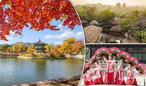 But how much do we really know about what goes on in that country? Would You Dare Go To South Korea On Holiday Travel News Travel Express Co Uk