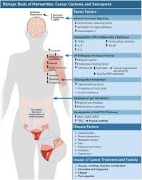 Image result for Cachexia in Cancer