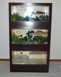 Pin On Reptiles