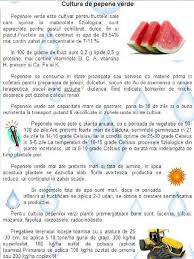 Pentru un hectar, numai sămânța certificată și de bună calitatea te costă între 600 și la un calcul simplu, dacă obții anual o producție medie de 20 tone pe hectar de fân uscat, iar pentru a face un balot ai nevoie de aproximativ 30. Cultura Pepene Verde