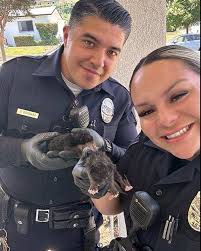 Monterey Park Police POA