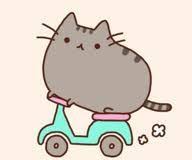 Pusheen The Cat Google Da Ara Pusheen Sevimli Kediler Kedi