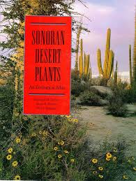 We did not find results for: Sonoran Desert Plants An Ecological Atlas Turner Raymond M Bowers Janice Emily Brugess Tony L 9780816525195 Amazon Com Books