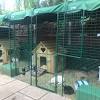 Large folding outdoor rabbit run 5'. 1