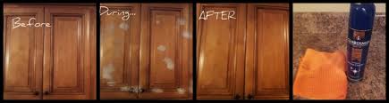 wood kitchen cabinets polish