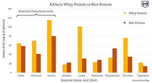 Best Protein Powder For Building Muscle An Evidence Based