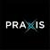Praxis Precision Medicines, Inc. logo