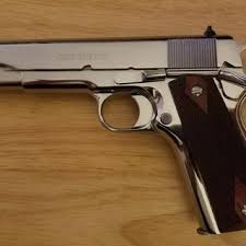 Image result for Grace Silver 1991 Colt