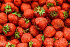 Strawberry Festival in Middletown Springs