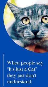Francis of assisi for lost animals. Sympathy Quotes Sayings For Loss Of Pet