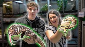 As an owner, also ensure that you. Exotic Pet Store Tour Fish Reptiles Birds Youtube