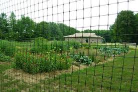 Extruded Plastic Mesh In Deer Fence And Garden Netting Plastic Mesh Garden Netting Deer Fence