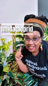 Image result for Brownleea maculata