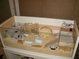 Diy Hamster Cages Would Also Work For My Mice Lots Of Play Space And Toys Hamster Toys Hamster Diy Cool Hamster Cages