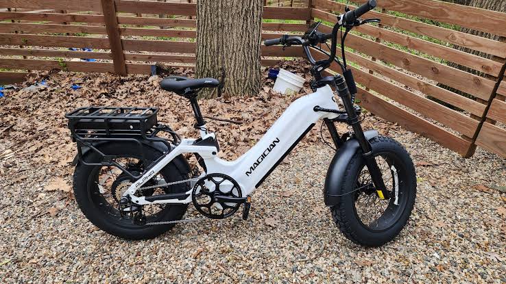 Magician Alpha Mini : r/ebikes
