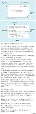 Pinterest Artsyzar School Study Tips School Motivation Flashcards College