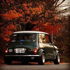 97minicooper1 3i もう冬ですがラスト秋pic 仕事もプライベートともなんやらかんやら忙しいので朝活出来てない kyoto 京都 楊谷寺 voiture