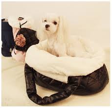 superhit sumki perenoski dlya sobachek ot puppy angel zima 2012 2013 miski dlya sobaki oshejniki dlya sobak sumki