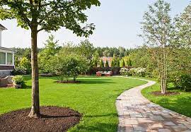 Große bäume und pflanzen für haus, hof, garten und die freie landschaft ! Kleine Baume Fur Den Garten Ratgeber Tipps Obi