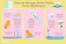 It is also a natural disinfectant and will kill the microbes. How To Remove Urine Stains And Odors From Mattresses