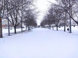 Agua helada que cae de la nube a la tierra en forma de copos blancos: Villarrobledo Moviliza Un Fuerte Operativo Contra La Nieve Radio Azul Ser La Mancha Cadena Ser