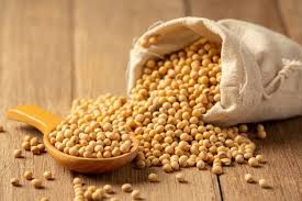Maybe you would like to learn more about one of these? 8 Jenis Kacang Kacangan Paling Populer Kaya Manfaat Untuk Kesehatan Tubuh Kapanlagi Com