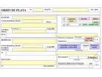 Plata taxelor și impozitelor online. Extrase De Cont Trezorerie Online Spv Theexperts Ro