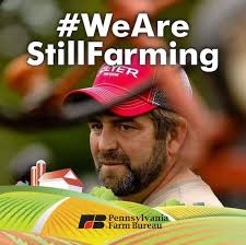 When are fall cleanup days in Monroe Township?