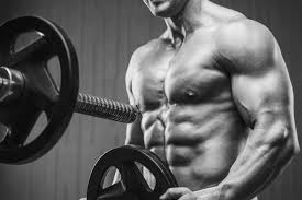 Premium Photo | Sport muscular fitness man working out at the gym