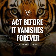 Enjoy our endangered species quotes collection by famous authors, singers and governors. 158 Catchy Save Animals Wildlife Conservation Slogans Quotes Vicharoo