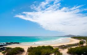 Spannender urlaub am meer (strand) in ecuador. Strand Auf Insel Galapagos Isabela Ecuador Stockfoto Bild Von Landschaft Leer 29148958