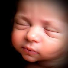 Asher Gray Arnold Obituary (2025)